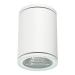  APPLIQUE DE PLAFOND IP54 ORION 