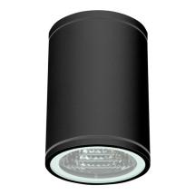  APPLIQUE DE PLAFOND IP54 ORION 