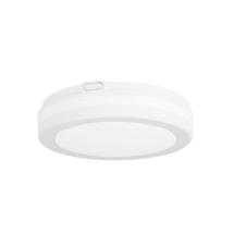  APPLIQUE DE PLAFOND IP54 SCAL 