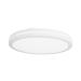  APPLIQUE DE PLAFOND IP54 SCAL 