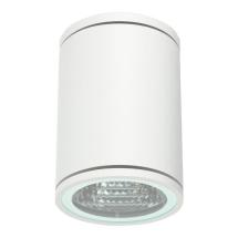  APPLIQUE DE PLAFOND IP54 ORION 