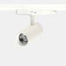  PROJECTEUR ET SPOT TENT �65 LE 