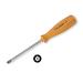  ACCESSORIO KEY THEFT TORX T10 