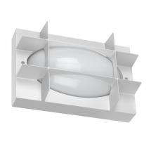  BLIZ OVAL 21 S/EW 830 WH87 