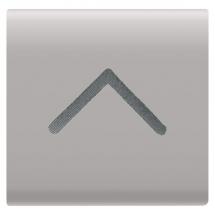  TOUCHE INTERCHANGEABLE 'FLECHE 