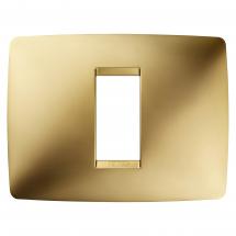  ONE PLATE 1 GANG GOLD 