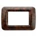  PLAQUE 3 POS.RONCE DE NOYER TO 