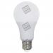  ECOWATTS - STANDARD A65 LED 27 