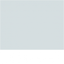  PLAQUE DE FOND PR GR113A 