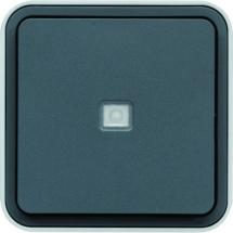  cubyko leaf VV lum saillie G 