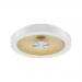  HULA C BLANC MAT - DORE 