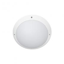  TIMY EVO BLANC 