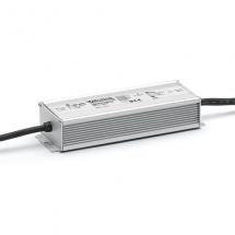  DRIVER 100W 