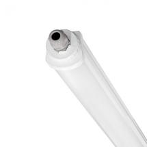  POLAS VERSA Blanc 