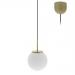  RONDY 1 P LAITON BROSSE 