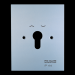  ENJOLIVEUR METALLIQUE, PLAQUE 