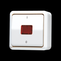  IN A TEMOIN 10 AX 250 V ~ / AP 
