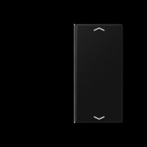  DOUBLE BOUTON POUSSOIR  10 AX 