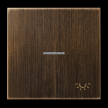  CADRE 1 POSTE / CD500 PLATINE 