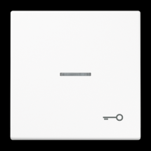  ENJOLIVEUR POUR PRISE IAE/UAE 