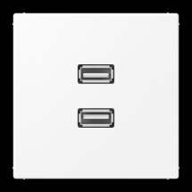  CONNECTEUR MULTIMEDIA 2 X USB 