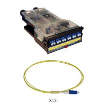  CASSETT LC DUPLEX 12 FIBRES SM 