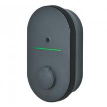  BORNE CHARGE MONO 7KW T2 