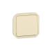  VV / POUSS SIMPLE BEIGE COMPO 