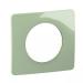 PLAQUE 1 POSTE VERT CELADON 