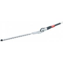  TETE TAILLEHAIE PERCHE D0LMAR 
