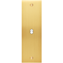  FAC LTC CHAMPAGNE SAT EL B1 A 