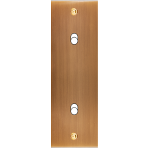  FAC LTC VIEUX BRONZE EL B2X A 