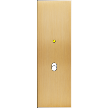  FAC LAITON BROSSE EL B1L M 