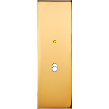  FAC LAITON DORE EL B1L M 