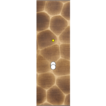  FAC LAITON ONDE EL B1 + LED 