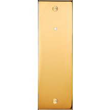  FAC LAITON DORE EL B1LX VIS 