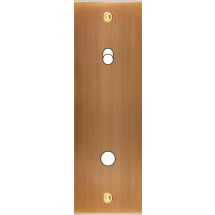  FAC LAIT BRONZ EL P1B1ELOI VIS 