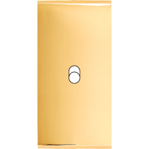  FAC ETROITE LAITON DORE B1 