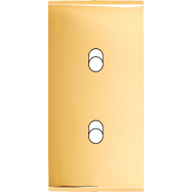  FAC ETROITE LAITON DORE B2 