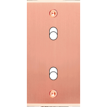  FAC ETROITE LAITON CUIV B2 VIS 