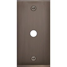  FAC ETROIT LAITON CANON P1 VIS 