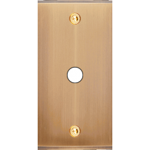  FAC ETROIT LAITON BRONZ P1 VIS 