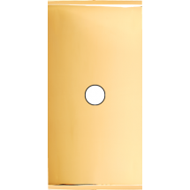  FAC ETROITE LAITON DORE P1 