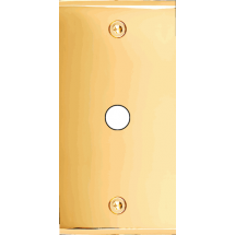  FAC ETROITE LAITON DORE P1 VIS 