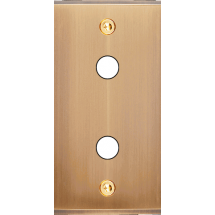  FAC ETROIT LAITON BRONZ P2 VIS 