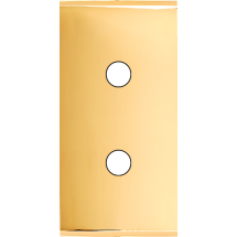  FAC ETROITE LAITON DORE P2 