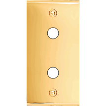  FAC ETROITE LAITON DORE P2 VIS 