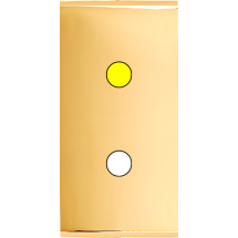  FAC ETR LAITON DORE P1+LED 