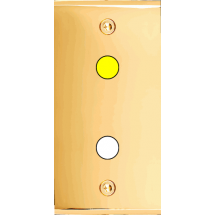  FAC ETR LAITON DORE P1+LED VIS 