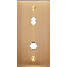  FAC ETR LAITON BRONZ B1P1 VIS 